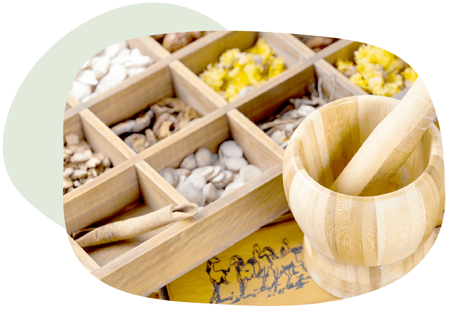 漢方薬による診療