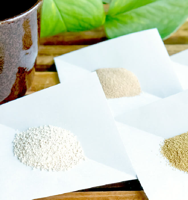 漢方薬による治療